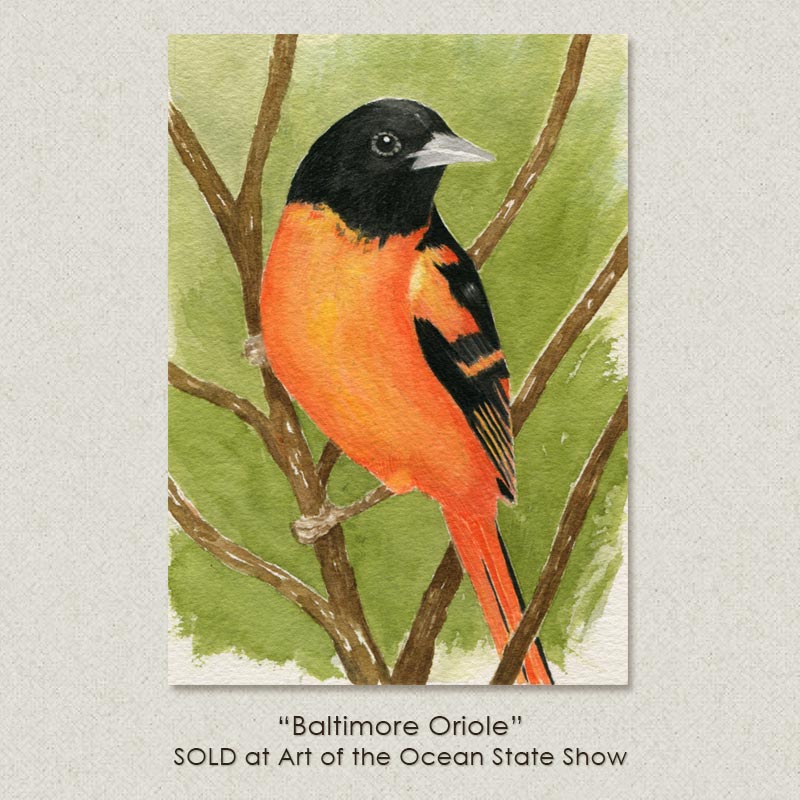 baltimore Oriole