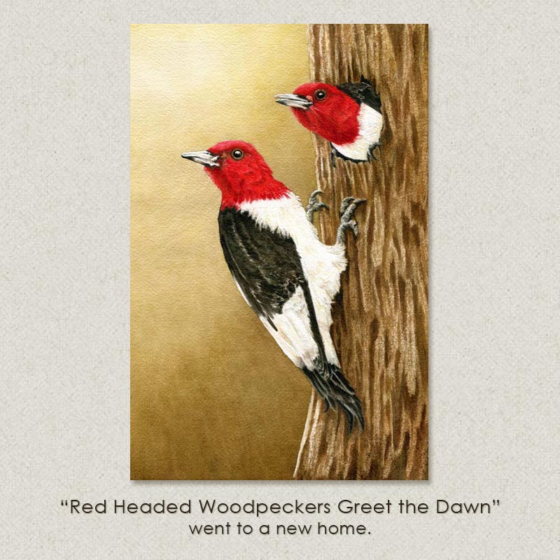 redheaded Woodpeckers