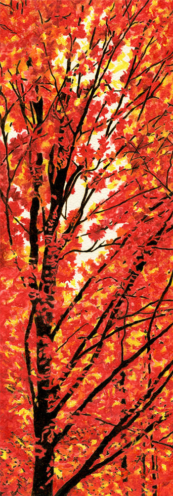 autumn leaves