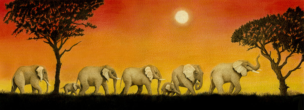 elephant trek