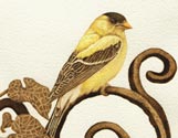 Bird on Iron Gate