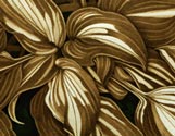 Hosta La Vista