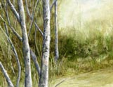 Landscape Study #1